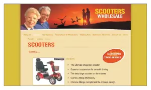 Scooters Wholesale 2.